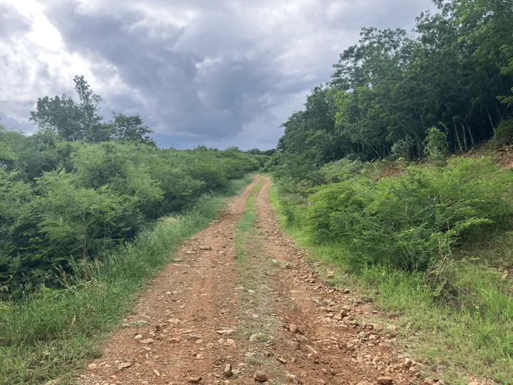 Road down to Abi Beach