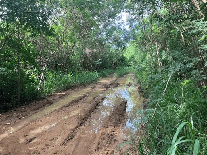 Hendrik Bay Road Flooded