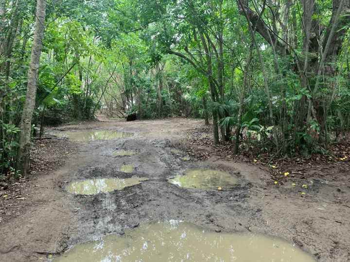 Neltjeberg Bay Road