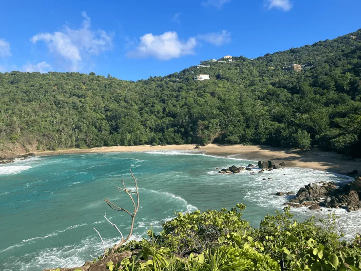 Stumpy Bay Beach