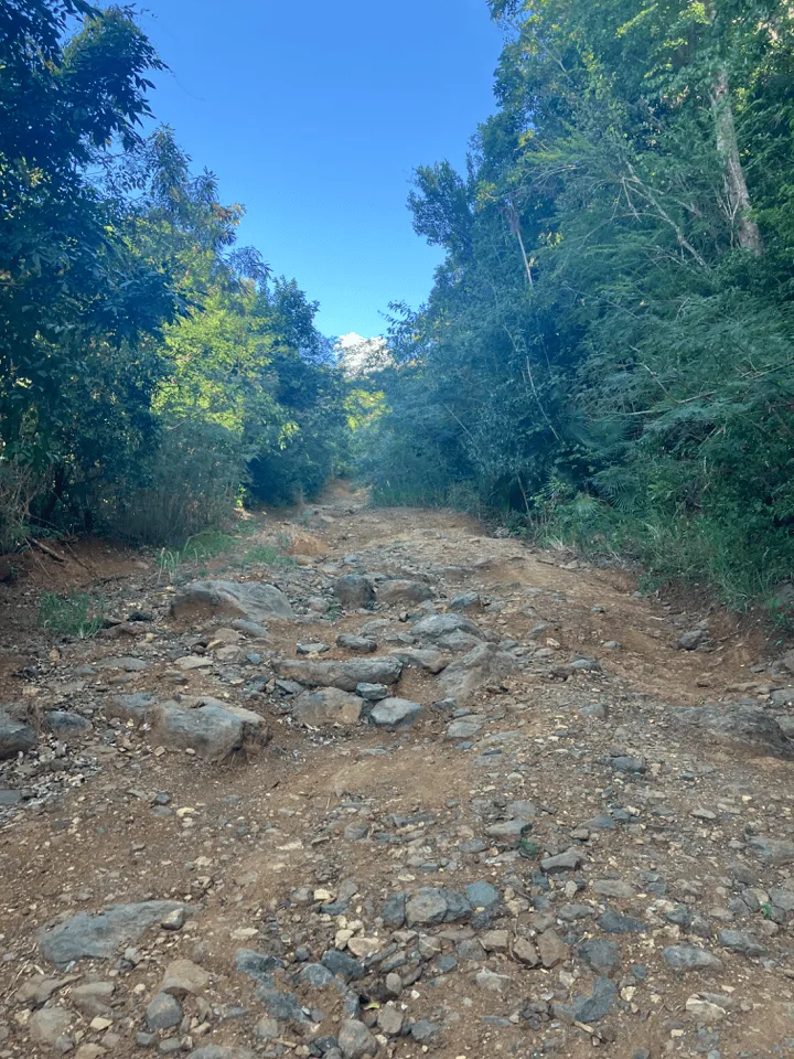 Stumpy Bay Road Conditions