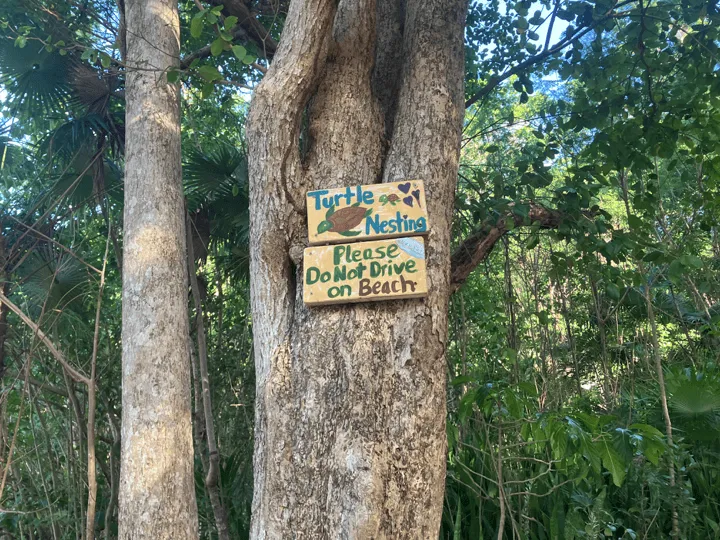 Stumpy Bay Turtles Sign